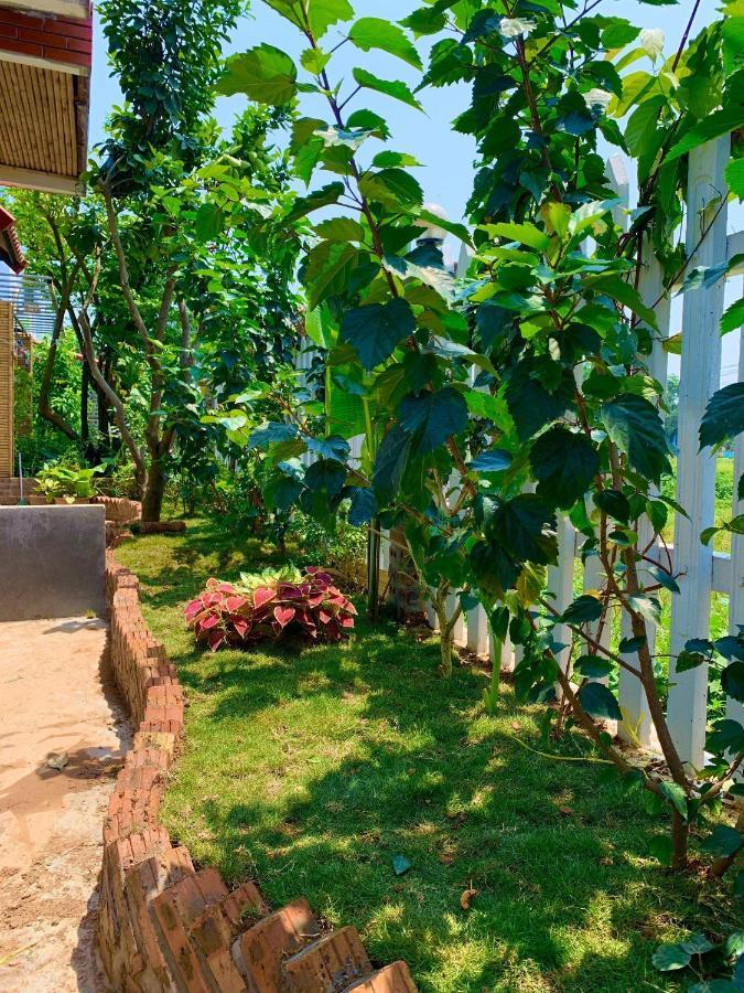 Tam Coc Mandala Villa & Homestay Ninh Bình Exteriör bild